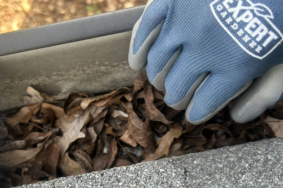 Gulf Stream Gutter Cleaning