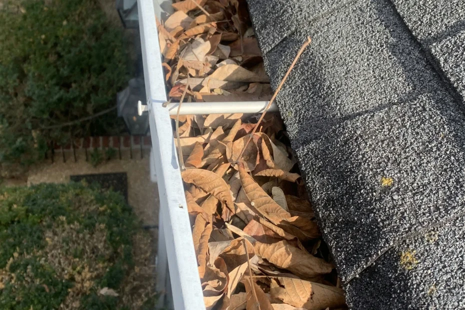 Gutter Cleaning Gulf Stream FL