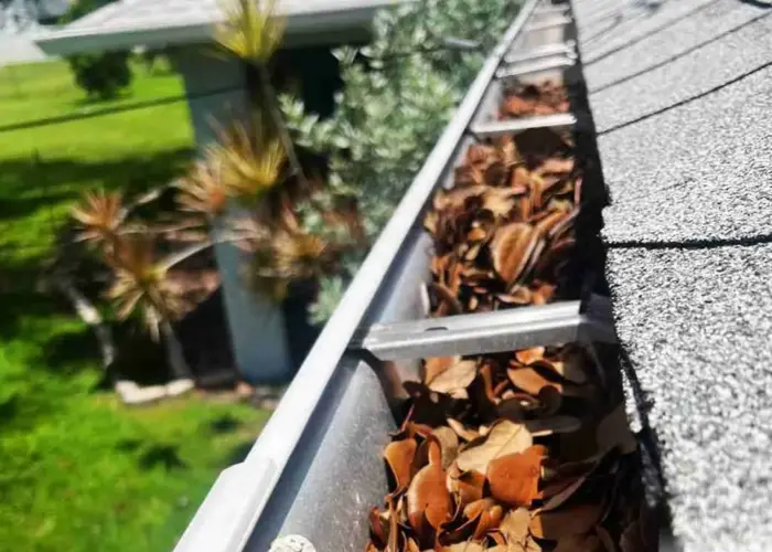 Gutter Cleaning Gulf Stream FL home page